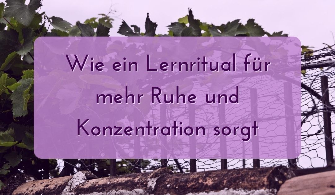 Wie ein Lernritual für mehr Ruhe und Konzentration sorgt