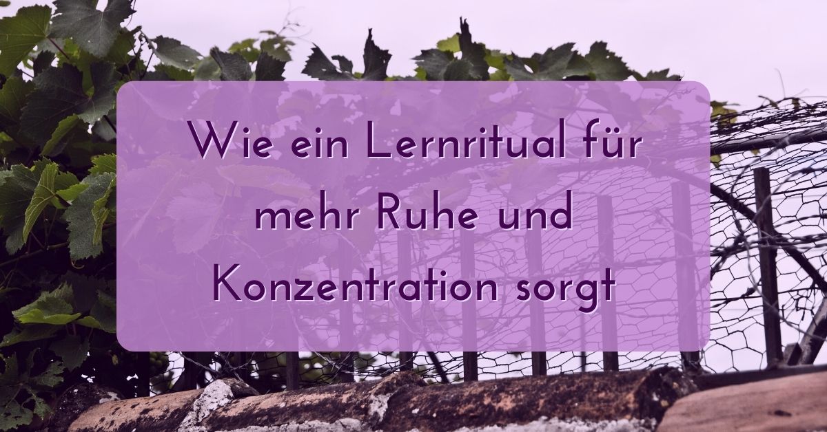 Wie ein Lernritual für mehr Ruhe und Konzentration sorgt