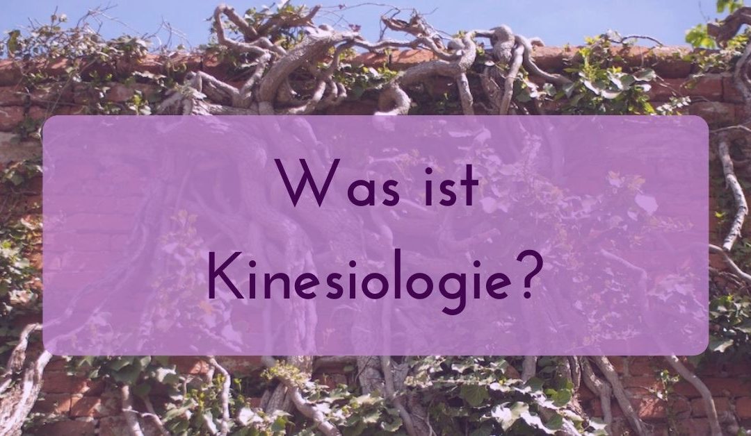 Was ist Kinesiologie?