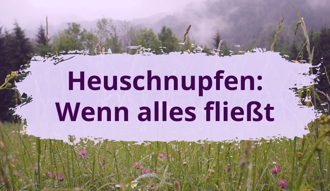 Heuschnupfen: Wenn alles fließt