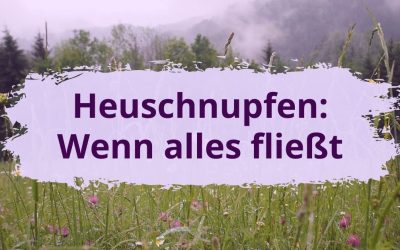 Heuschnupfen: Wenn alles fließt